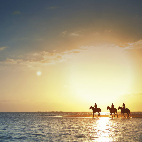 BALADE À CHEVAL SUR LA PLAGE, HOTEL LUX* BELLE MARE, ILE MAURICE