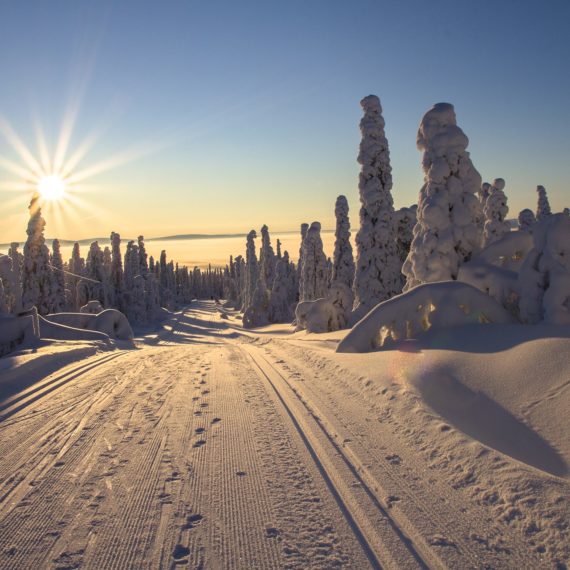 CIRCUIT ROVANIEMI, LAPONIE FINLANDAISE NORVÈGE/ FINLANDE