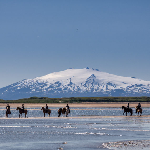 CIRCUIT BALEINES, CHEVAUX ET AURORES BORÉALES, ISLANDE