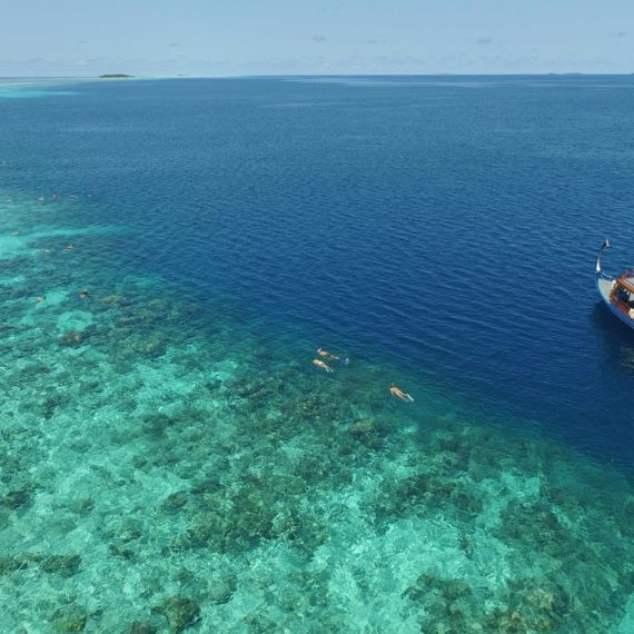 Sortie bateau snorkeling