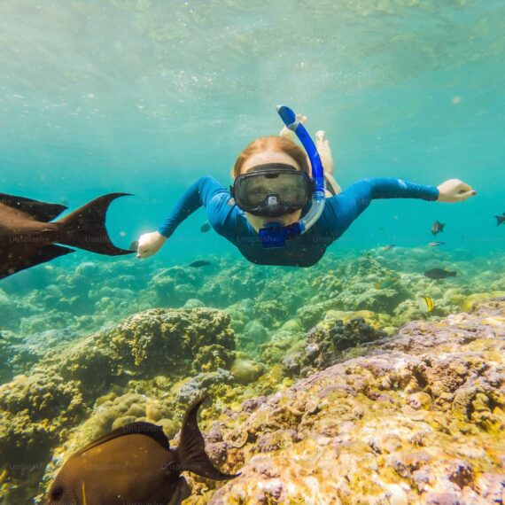 Snorkeling à Pemuteran